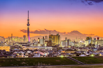 Fototapeta na wymiar Tokyo Skyline at Dusk