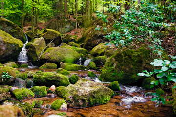 Kleiner Bach mit Felsen mitten im Wald