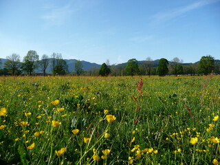 Brauneck Panorama trail, Bavaria, Germany