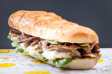 Sandwich with meat and vegetables on black bacground