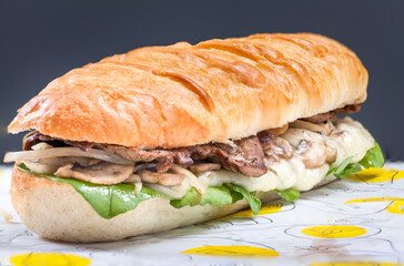 Sandwich with meat and vegetables on black bacground