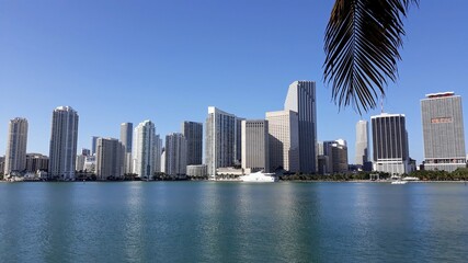 Fototapeta na wymiar Miami skyline taken from the palm tree shade across the Briscayne Bay