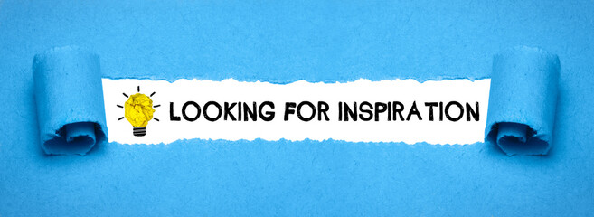 Looking for Inspiration 
