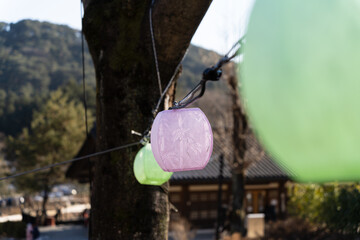 lanterns hanging to celebrate the New Year