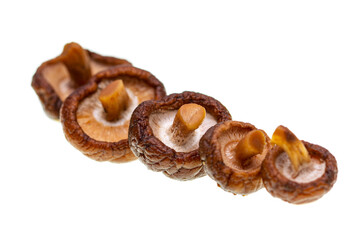 Shiitaki mushrooms on a white background