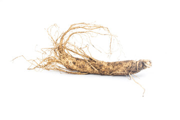ginseng isolated on white background