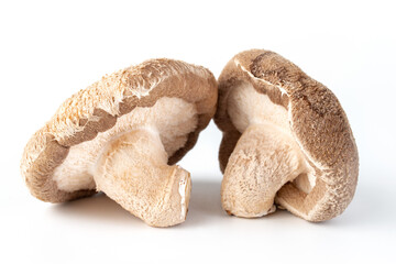 shiitake raw medicine mushrooms