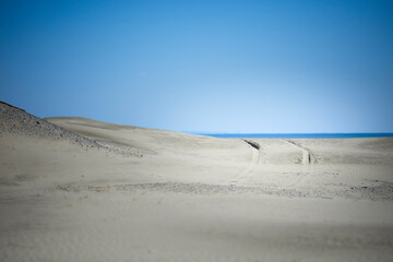 ビーチ タイヤ痕