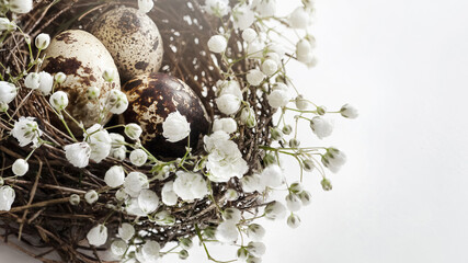 Close up easter bird nest with eggs decorated with white flowers on white background.