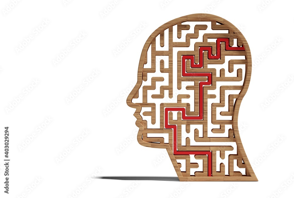 Canvas Prints human head shaped maze or labyrinth with red solution path over white background, thinking process o