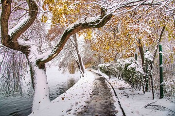 Winter season at  Herastrau park Bucharest,Romania.A maginificent landscape covered with snow