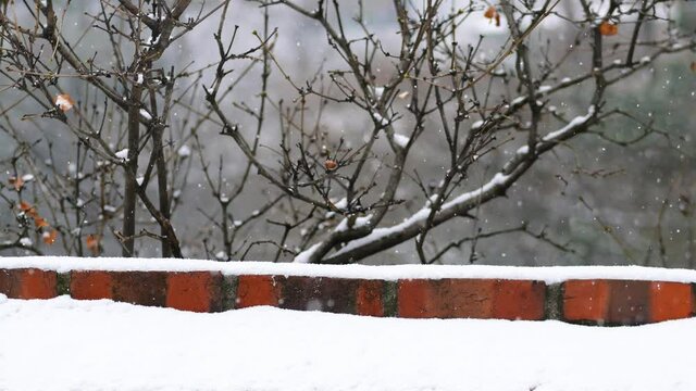 snowy skies, snow-stacked walls and trees