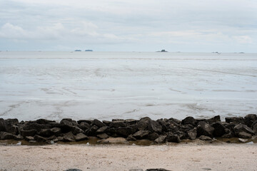 Landscape view of a muddy beach at low tide