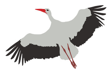 White stork (Ciconia ciconia), flying color silhouette of a bird