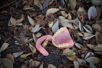 老い 捨てられた 入れ歯