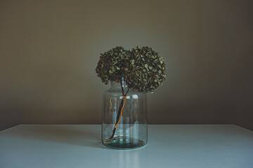 dead flowers in glass jar and white table