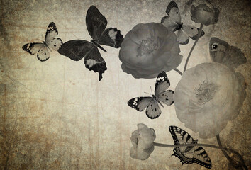 Textured old paper background with beautiful wild flowers and exotic butterflies. Black white 
