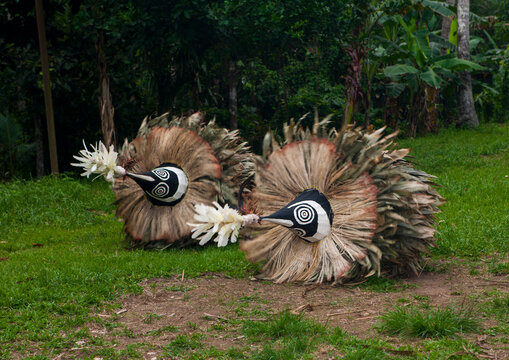 Duk duk giant masks during a Tubuan dance, East New Britain Province, Rabaul, Papua New Guinea