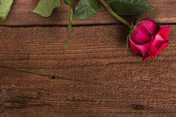 Red rose flower on wooden surface