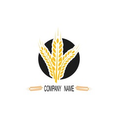 Agriculture wheat Logo Template vector icon