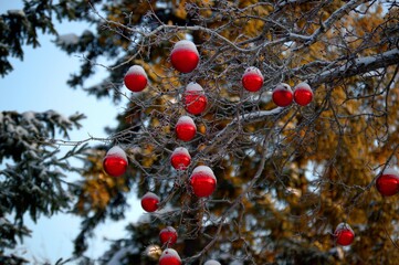 christmas tree with red balls