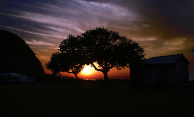 A photo of a tree in front of different shades of sky such as purple and yellow. Silhouette of the tree and the path it is on, reflects the aesthetic aspect of the photo.