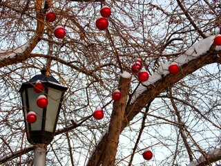 red lantern in the snow