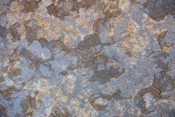 Cracks on dry brown earth surface.