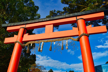 京都　青空に映える上賀茂神社の赤い鳥居　コピースペースあり（京都府京都市）Kyoto: The red torii gate of Kamigamo Shrine shines against the blue sky, with copy space (Kyoto City, Kyoto Prefecture, Japan)