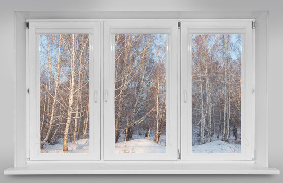 View from the window to the winter birch forest