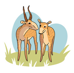Hand drawn vector illustration of saiga antelope. Doodle of endangered wild animal. Male and female saigas on a round green field.