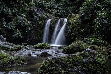 Naklejka premium Waterfall in the Sao Miguel island's woods...