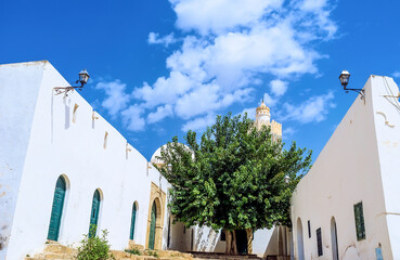 The lush tree in Mosque's courtyard in El Kef, Tunisia