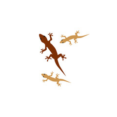 Fototapeta na wymiar lizard logo and vector