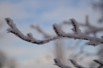 winter