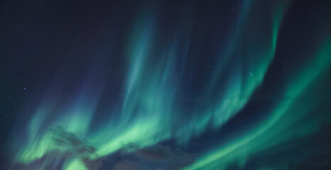 Fototapeta na wymiar Aurora Borealis, Northern Lights glowing in the night sky