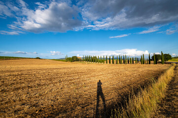 Fototapeta na wymiar Beautiful detail of the Italian and Roman countryside. A field of yellow hay, the shadow of a man, trees, cypresses, a blue sky and clouds in a hot summer day, Lazio Italy.