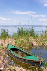 Obraz premium Old fishing boat in a calm water lake during daylight in La Albufera Spain /old green wood fishing boat/ wooden fishing boat.
