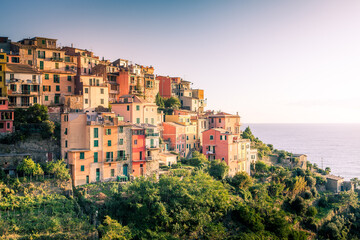 Fototapeta na wymiar Village of Corniglia in Cinque Terre