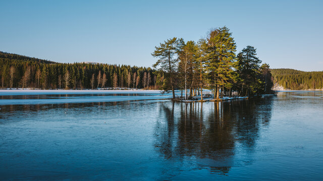 Small trees island at the Songsvann lake in Oslo, Norway, Scandinavia during winter time with the abies alba in the background