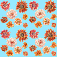 Watercolor pattern of garden  orange autumn flowers drawn by hand isolated on a blue background.