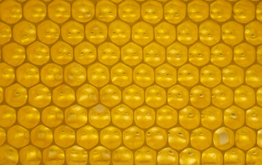 Honeycomb. Geometric, closeup. Yellow Honey cells texture background. Concept of beekeeping.