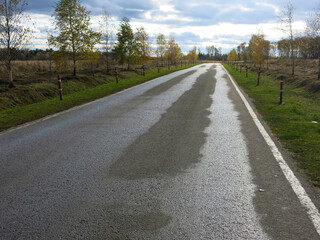 asphalt road with a wet surface in the province in autumn