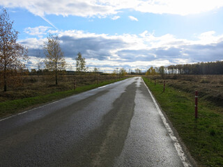 Fototapeta na wymiar asphalt road with a wet surface in the province in autumn