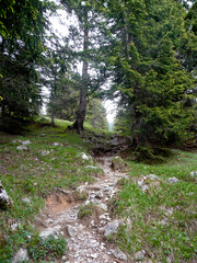 Mountain hiking tour to Daniel mountain in Tyrol, Austria