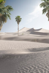 view of nice sands dunes and palm  at Sands Dunes National Park