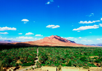 Oasis Marruecos