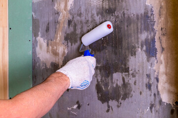 Treatment of the wall with a special solution against mold and mildew using a construction roller.