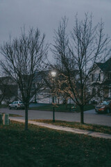 Fototapeta premium Street Lamp