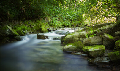 stream in the forest © Sieku Photo